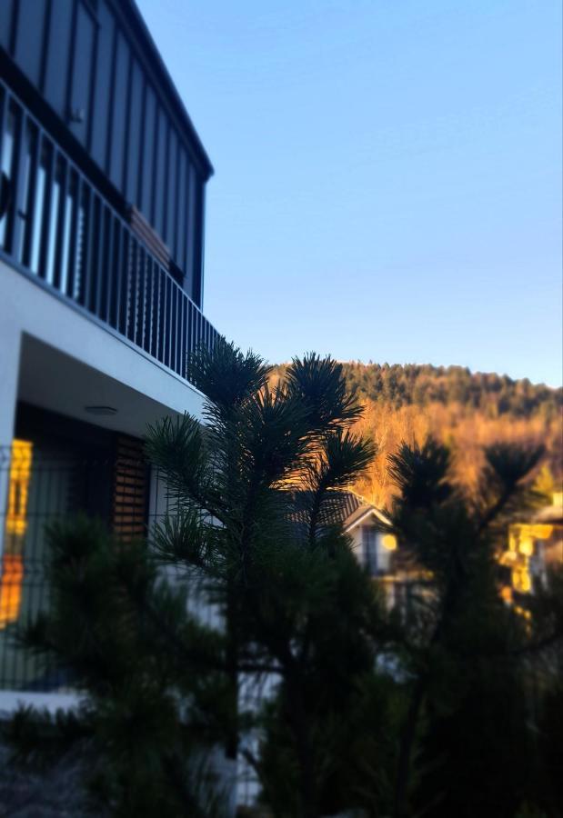 Apartament "Oldmountain" Olimpijska 1C 1 Щирк Екстериор снимка